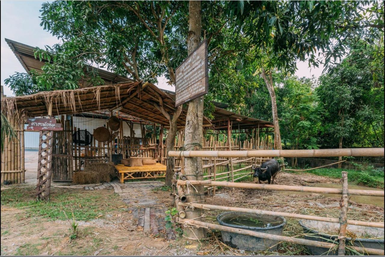 Phuket Nonnita Boutique Resort - Sha Plus Exterior foto